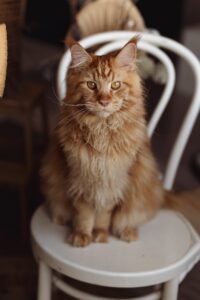 475758763 1154097869704044 2219427421379972230 n