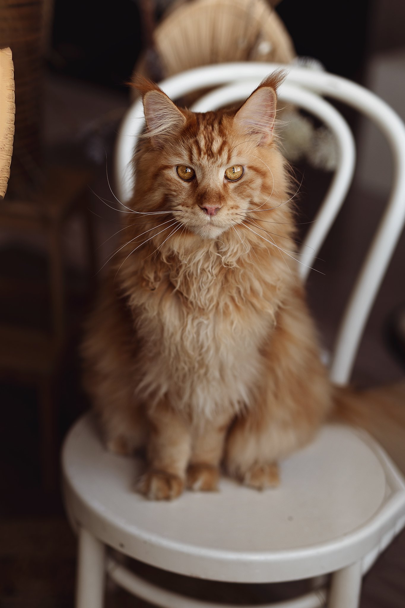 475758763 1154097869704044 2219427421379972230 n